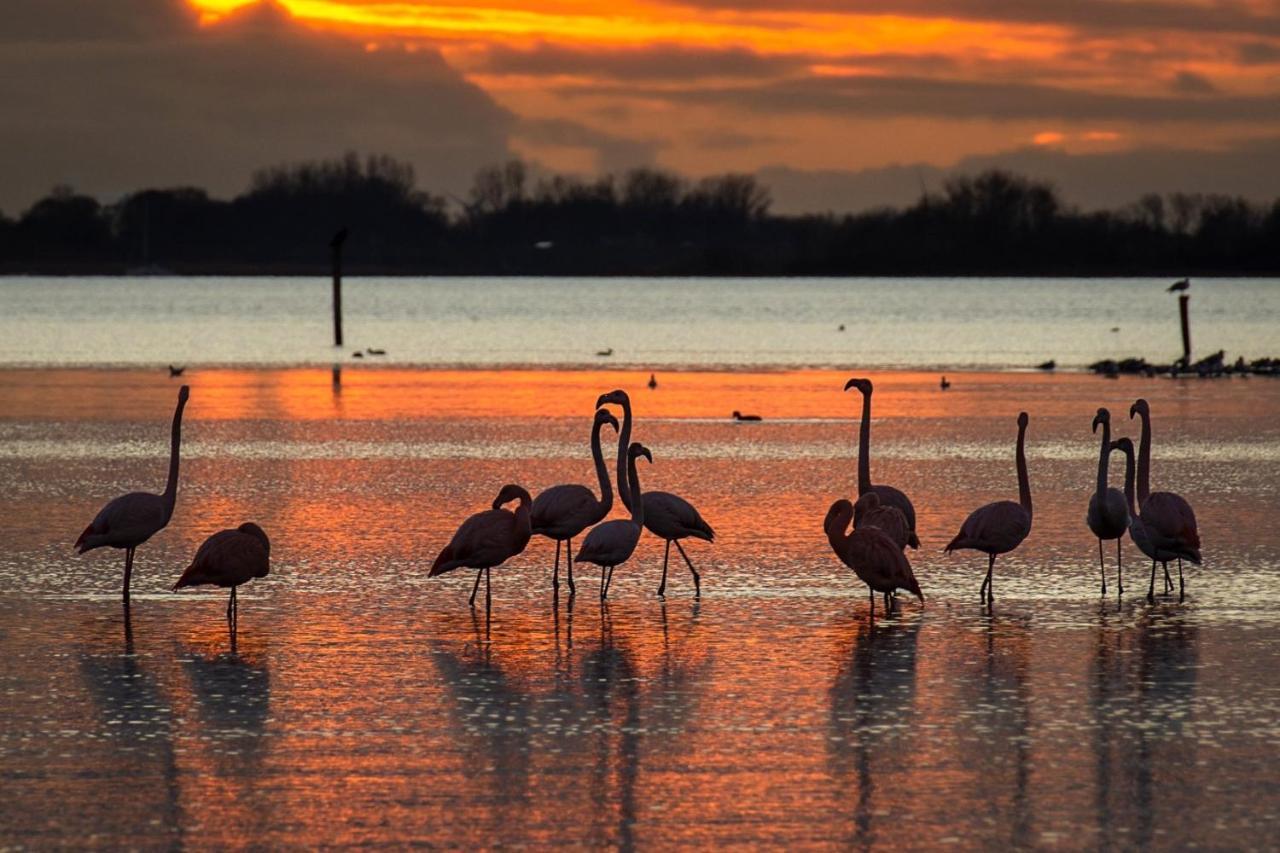 Ijsvogel Apartment, Duplex Family Home 4-Bed Located On The Largest Saltwater Lake Брёйниссе Экстерьер фото